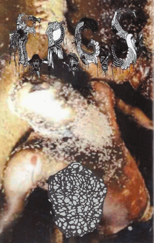 Festering Recto Gangrenous Slime : Festering Recto Gangrenous Slime - Inhalando Cerebro Seco de Perro